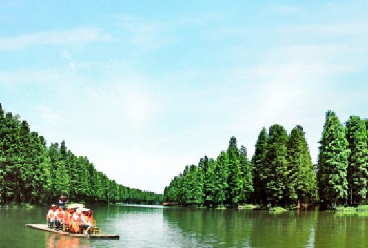 兴化李中水上森林公园+千垛景区一日游【18人内小团】【含李中竹筏 含千垛游船 出发的晚不需要起早】