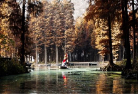 李中水上森林公园景点图片