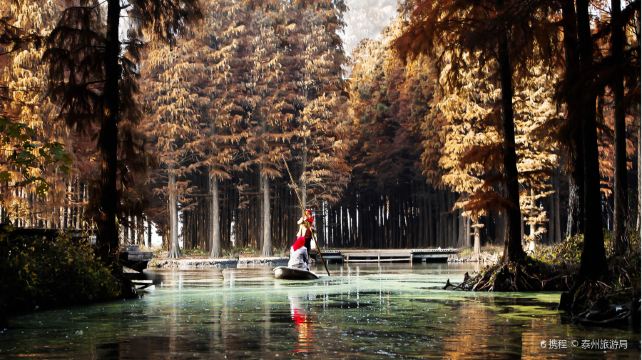 李中水上森林公园