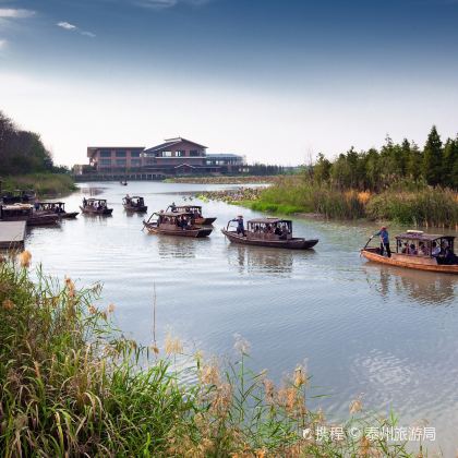 泰州溱湖国家湿地公园+泰州老街一日游 5人起订