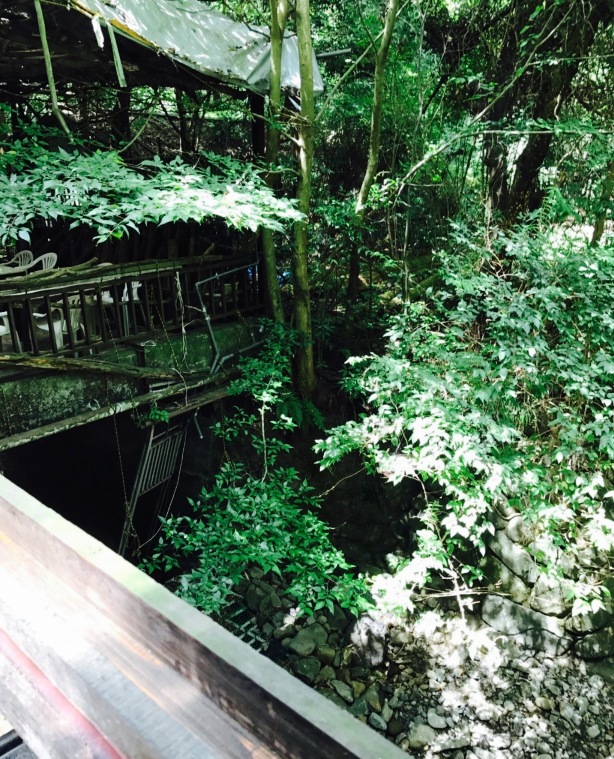 Cafe Terrace Kuu餐厅图片