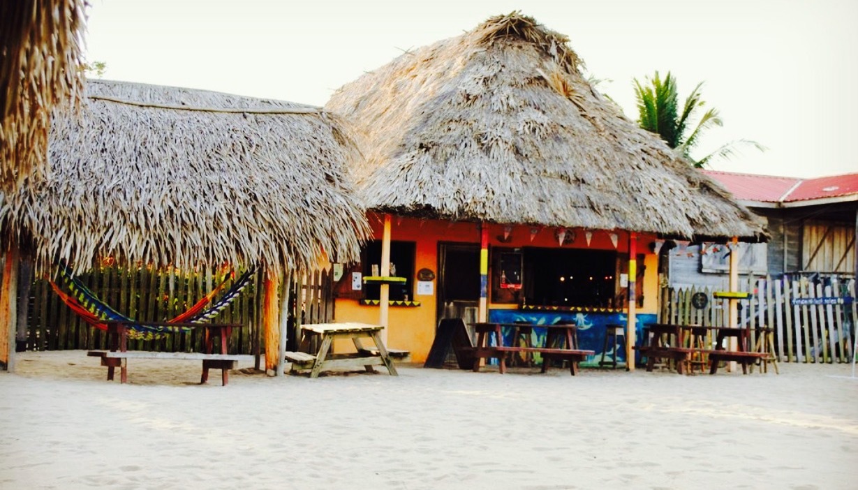 driftwood beach bar & pizza shack