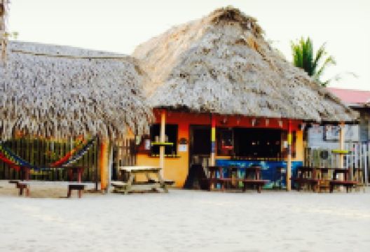 driftwood beach bar & pizza shack美食图片