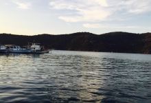 Yeni Albatros Restaurant Bayram'ın Yeri美食图片