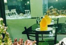 SETTIMO MARE美食图片