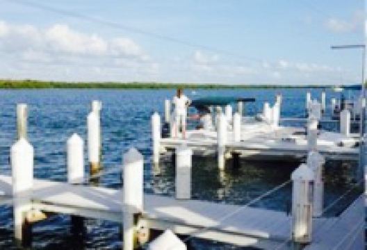 Snook Inn美食图片