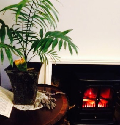 Palm Court Cafe Mannum SA