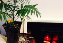 Palm Court Cafe Mannum SA美食图片