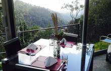 Restaurante la Tapir餐厅图片