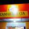 Camarao & Cia