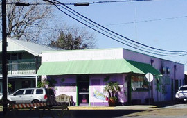 The Green Iguana