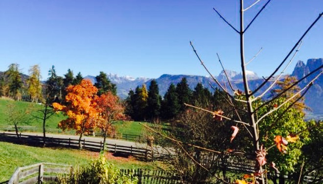 oberpfaffstaller餐厅图片