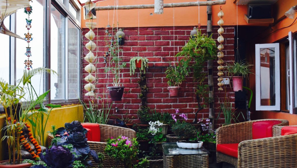 The Patio Restaurant餐厅图片