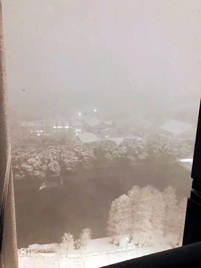 Sapporo Beer Garden