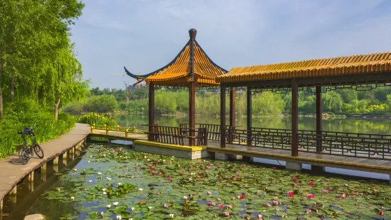 白浪綠洲濕地公園