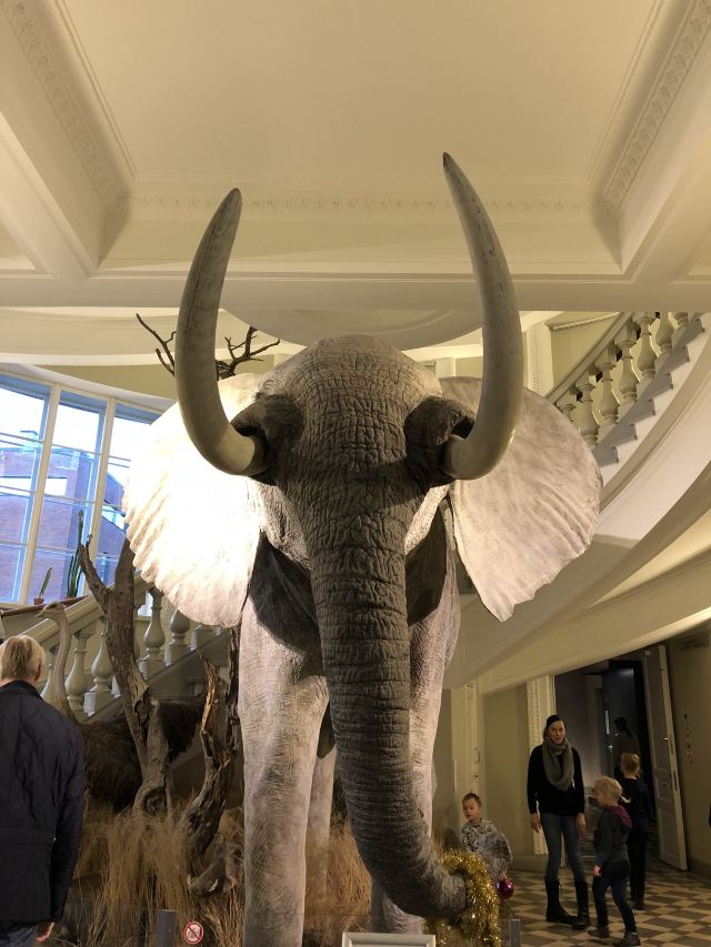 Finnish Museum of Natural History