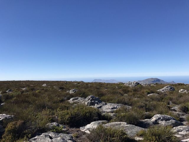 Table Mountain