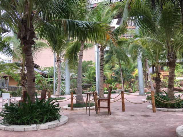 Amazon Jungle Water Park