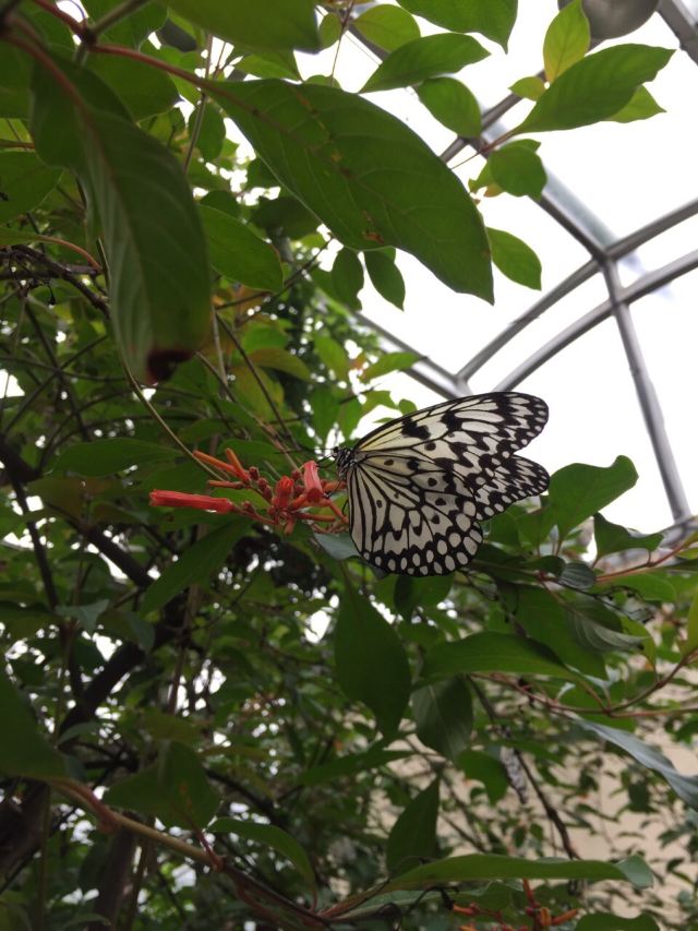 Taipei Zoo