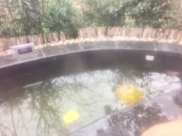 츠시 달봉산 온천