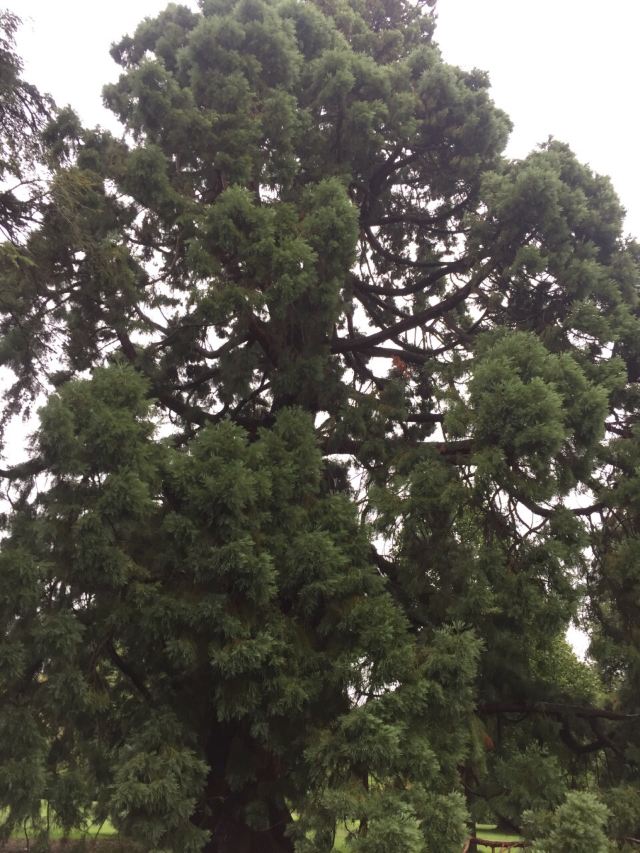 基督城植物園