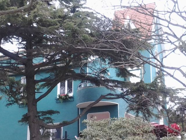 바다관(팔대관)