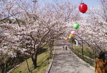 大将阵公园景点图片