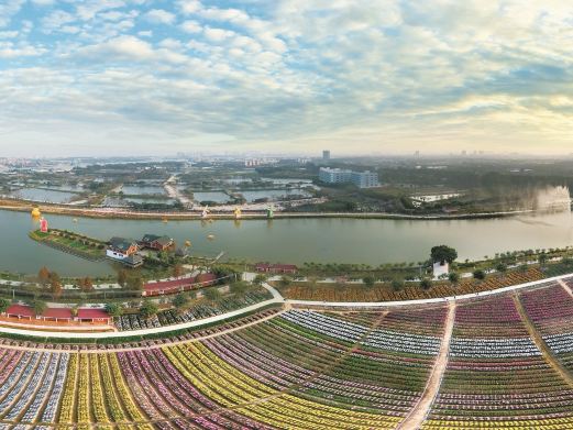 梦里水乡百花园