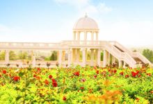 自贡玫瑰海景点图片