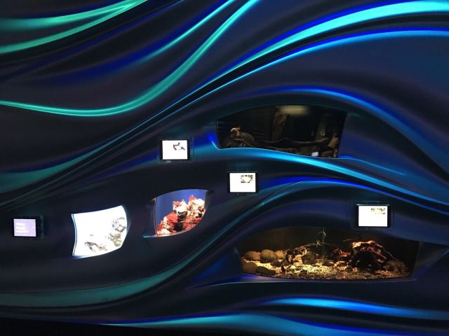California Academy of Sciences