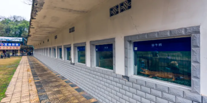 黃山大熊貓主題樂園