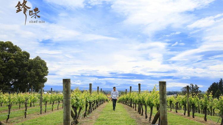 雷瓦利旅游行程安排,雷瓦利旅游线路推荐\/最佳