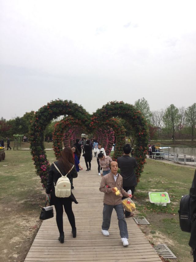 Zhoupu Sea of Flowers