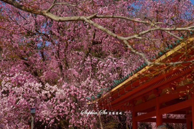 Heian Shrine