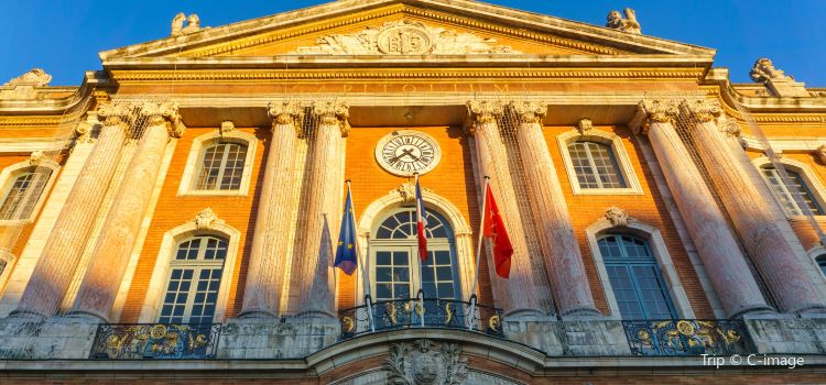 Place Du Capitole Travel Guidebook Must Visit Attractions In