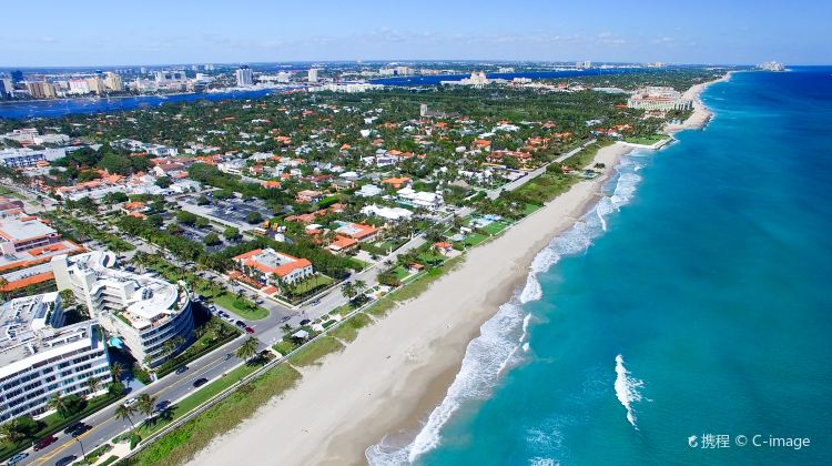 5-Day Miami In-Depth Tour·Key West, Maimi City Tour, Everglades National Park, Fort Lauderdale, Lion Country Safari and Palm Beach