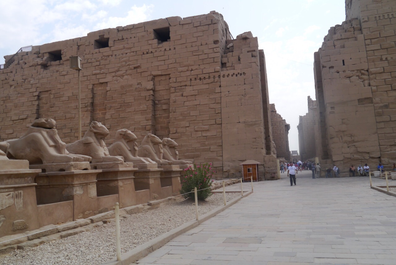 随处弥漫节日快乐氛围的埃及神庙～卡尔纳克神与卢卡索神庙