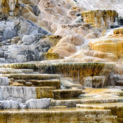 美国+黄石国家公园3日2晚私家团