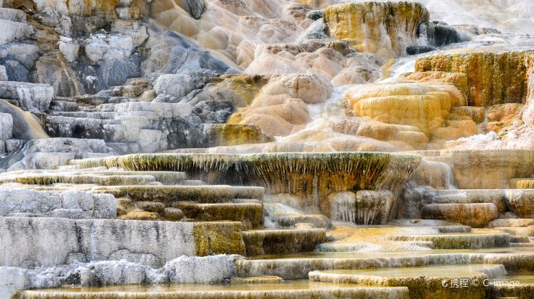 8-Day Yellowstone National Park Tour from Los Angeles · Lake Tahoe, Grand Teton National Park, Lower Antelope Canyon, Grand Canyon National Park and Las Vegas