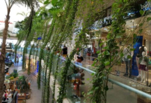 Quinta Alegria Shopping Mall购物图片