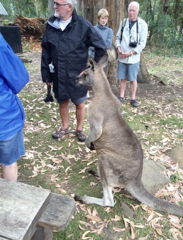 Trowunna Wildlife Park