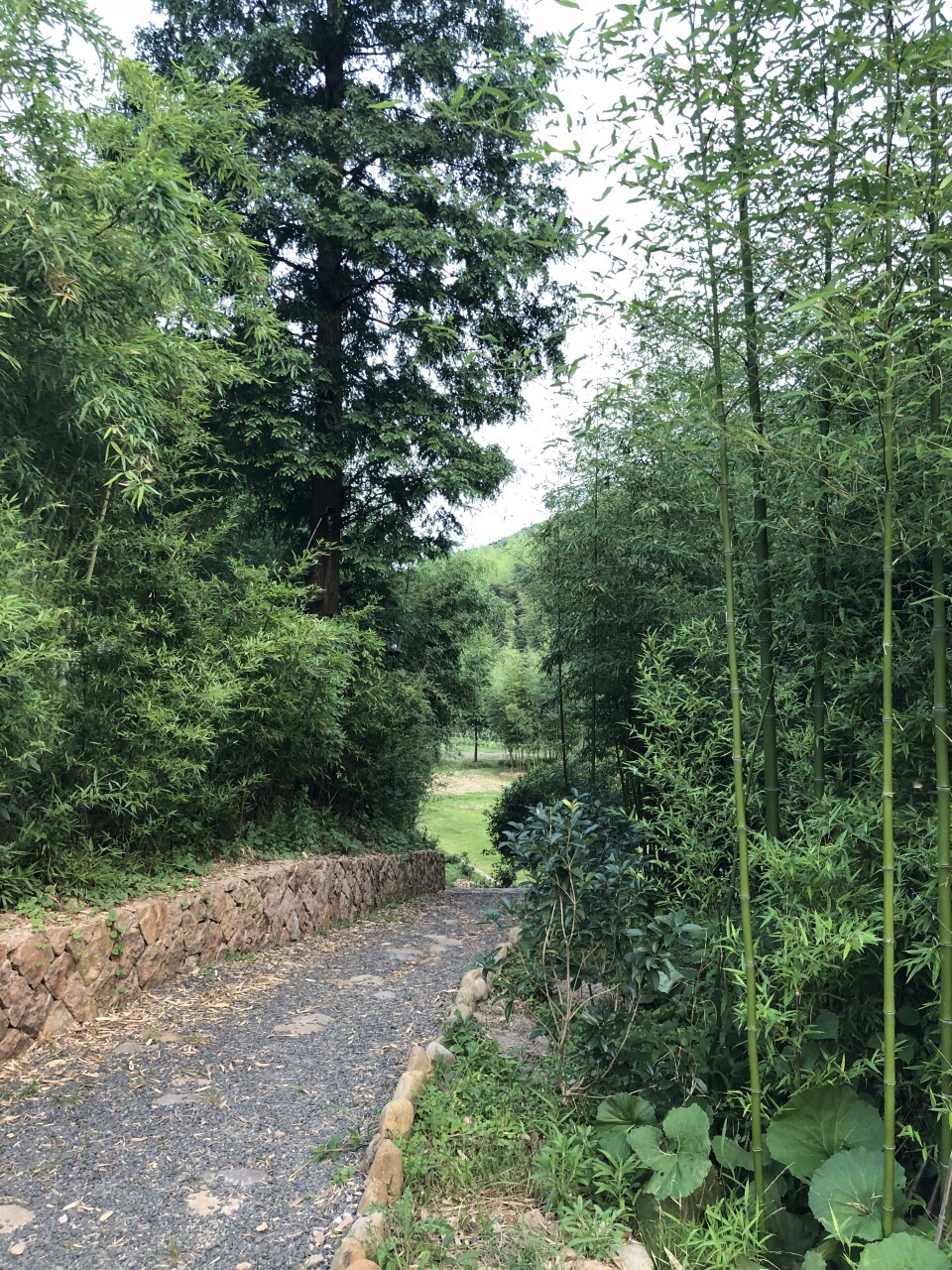 莫干山风景