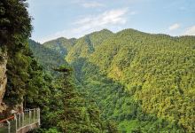 云山国家森林公园景点图片
