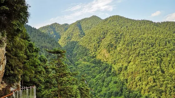 雲山國家森林公園