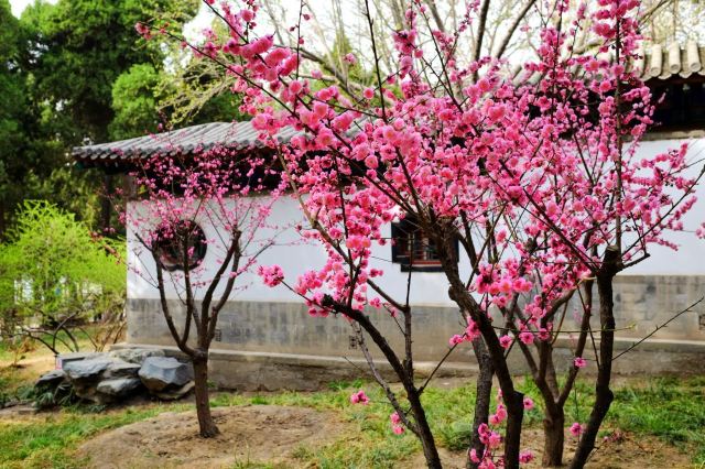 【携程攻略】北海公园好玩吗,北海公园景点怎