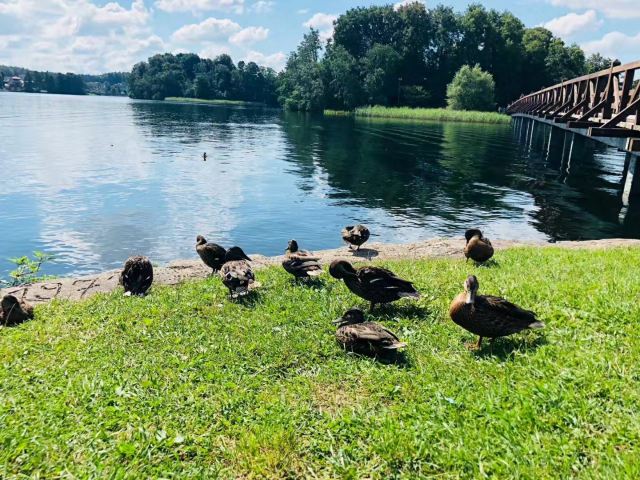 Trakai Island Castle Museum
