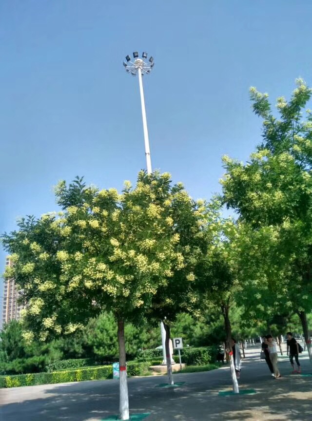 阿尔泰游乐园-北门广场