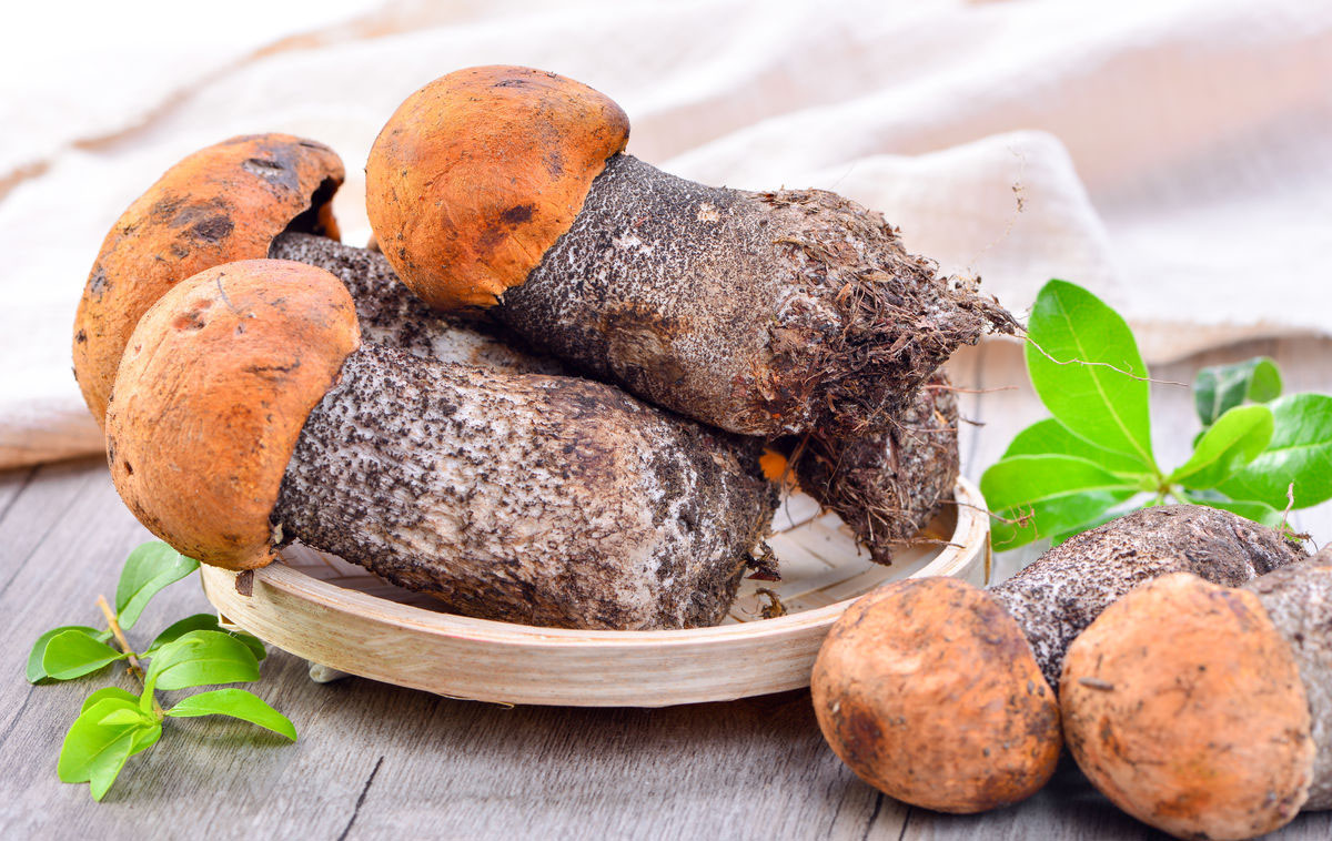 爱膳菌锅锅(大理下关店)