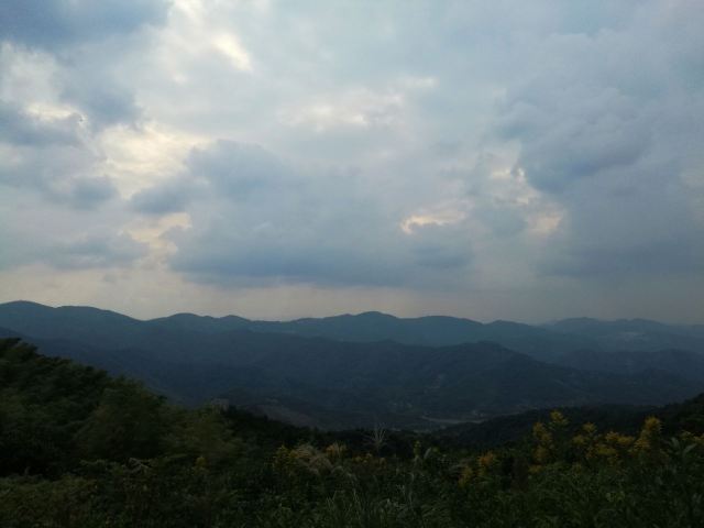 고로산