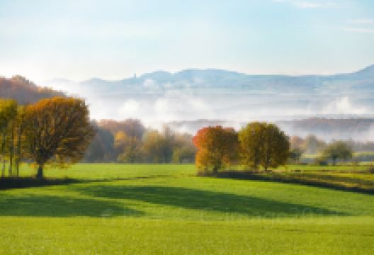 柯尼希斯温特旅游图片-波恩一日游